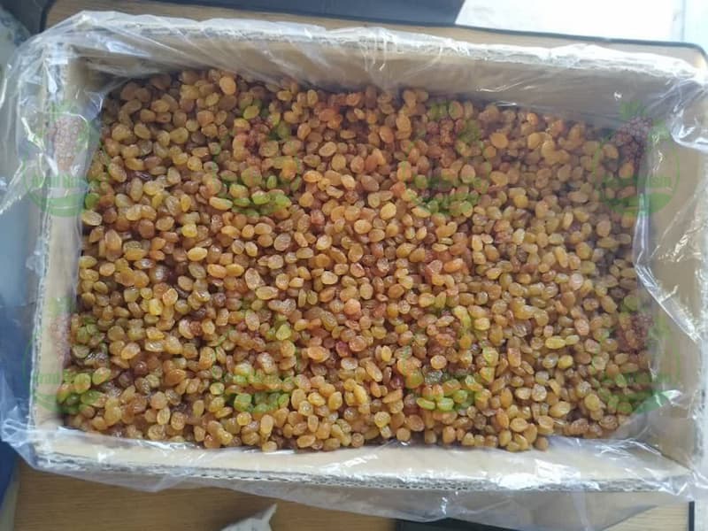لیست قیمت کشمش های بی دانه کارتون ۹ و ۱۰ کیلویی