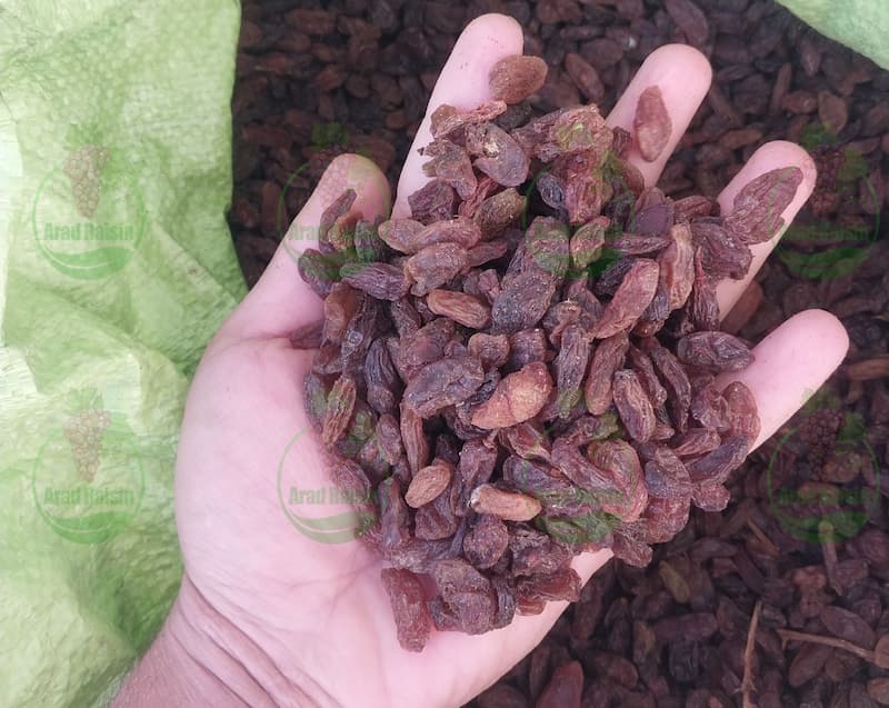 فروش کشمش آفتابی در خوزستان