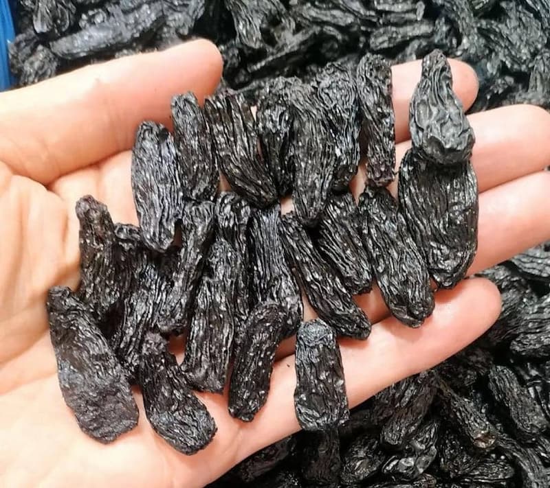 ارزان ترین مویز افغان را از کجا تهیه کنیم